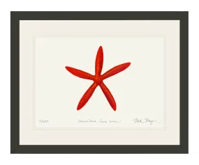 Red Linkia Starfish Print